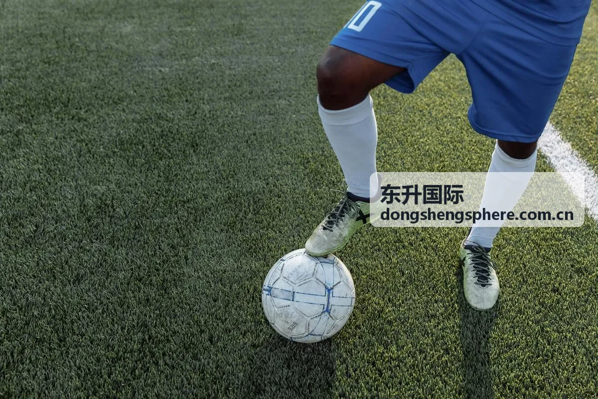 东升国际多端使用场景